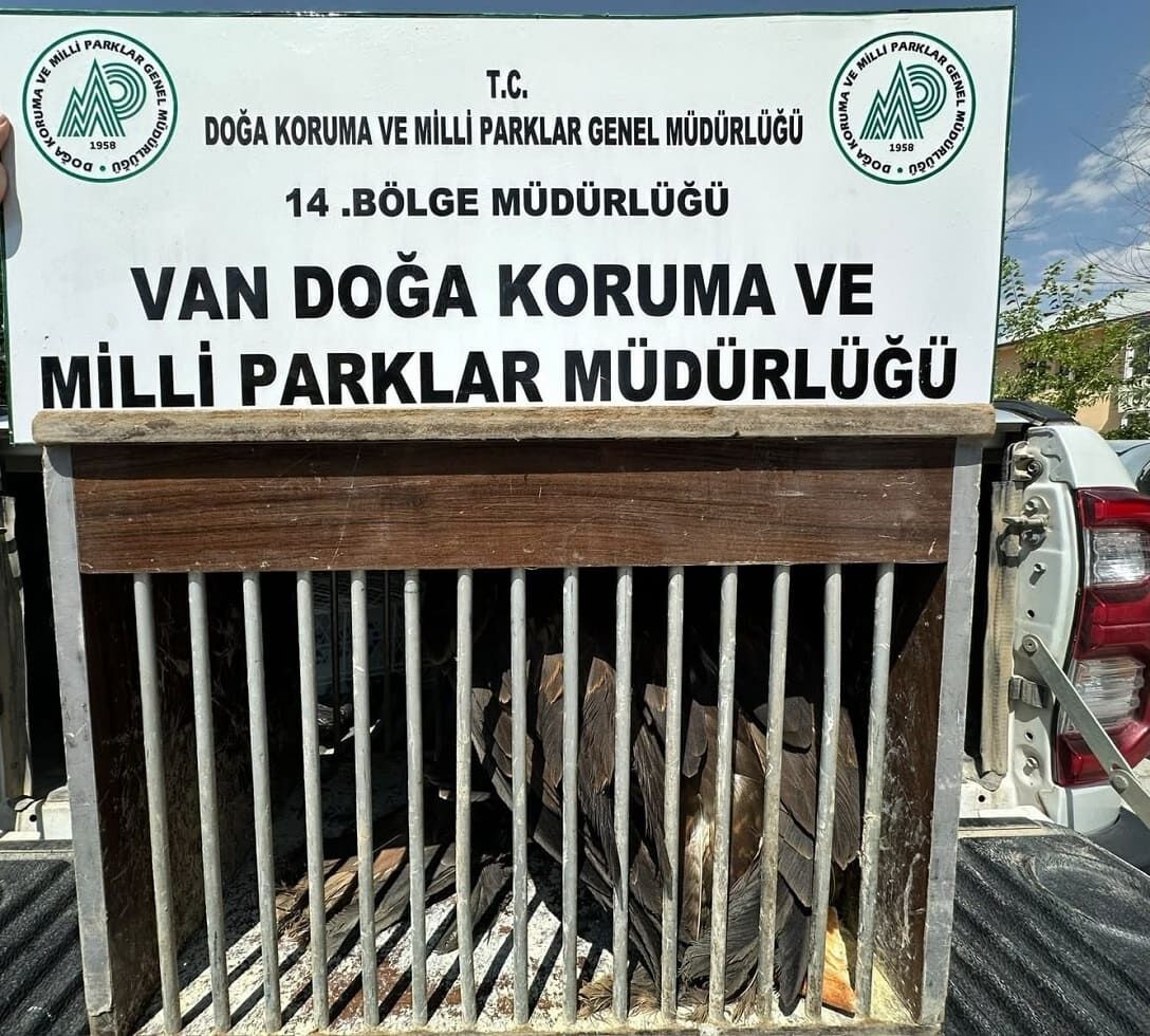 Van’da Yırtıcı Kuş Besleyen Şahsa 400 Bin Tl Para Cezası! (1)