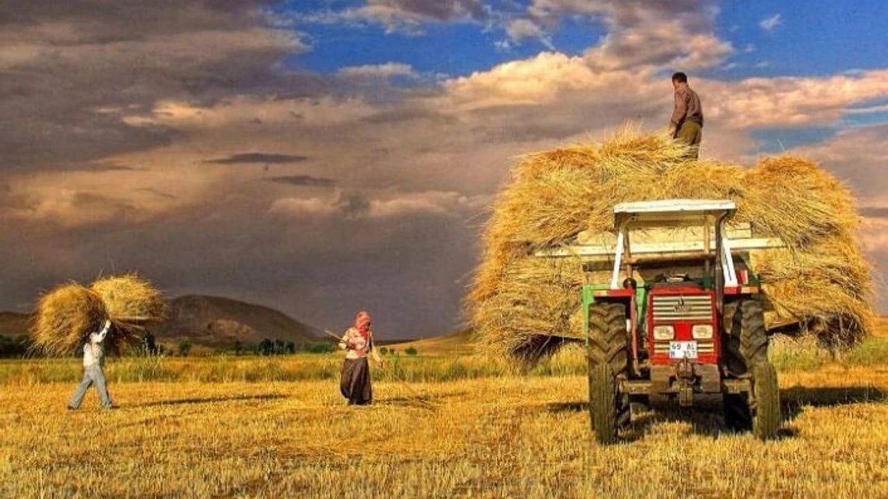 Vanlı Çiftçiler Dikkat! 2027 Çks Başvuruları 1 Eylül’de Başlıyor (3)