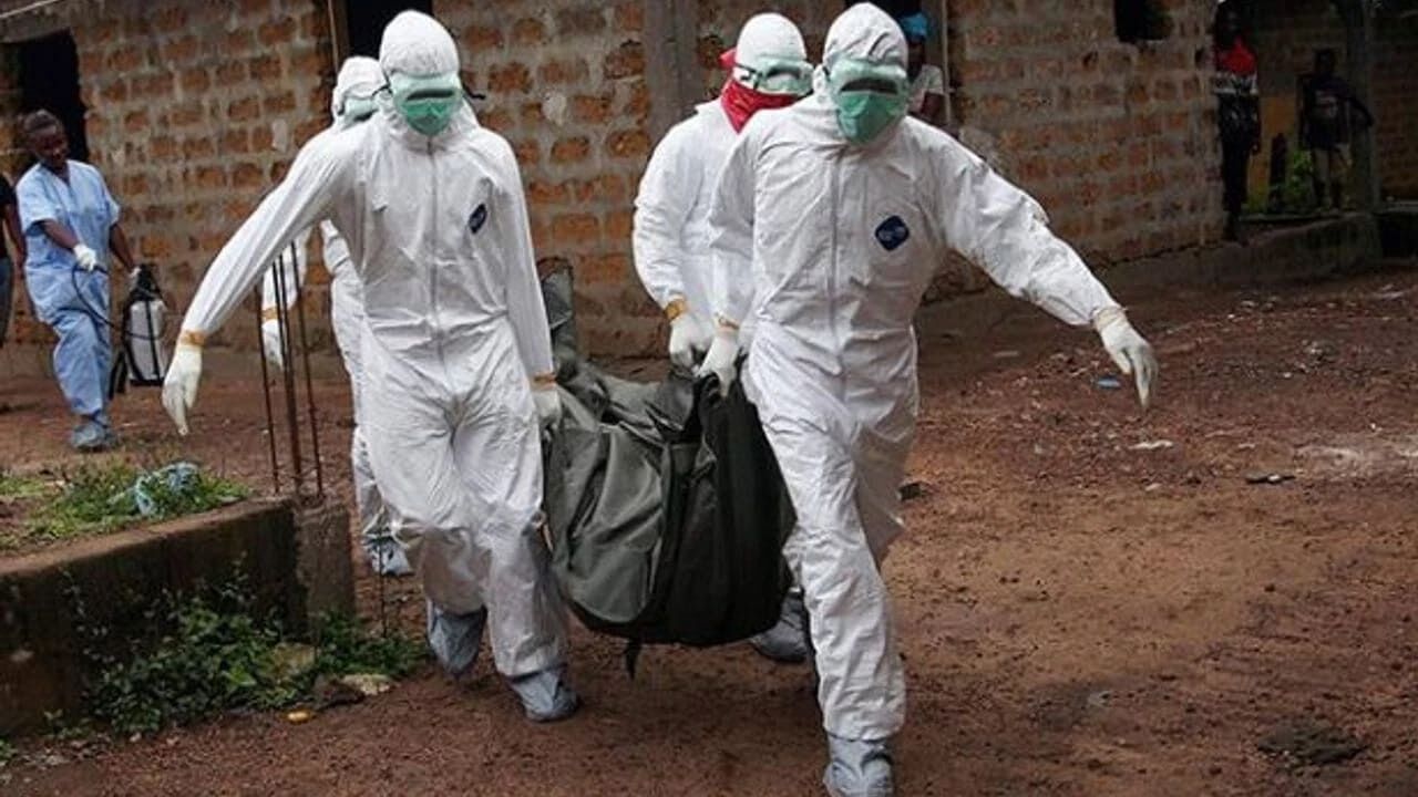 Ebola salgını 7 eyalete yayıldı