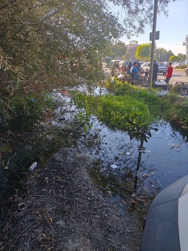 Edremit Marina’da Kötü Görüntü Ve Koku Tepkisi (2)