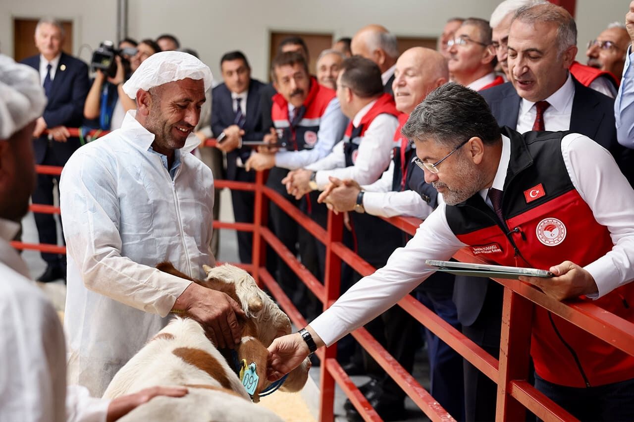 Hayvancılıkta Yeni Destek: Aşı ve Kimliklendirme Ücretsiz Olacak