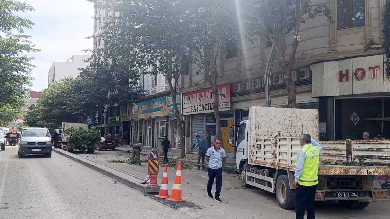 Van Zübeyde Hanım Caddesi’nde Ağaçlar Budanıyor (1)