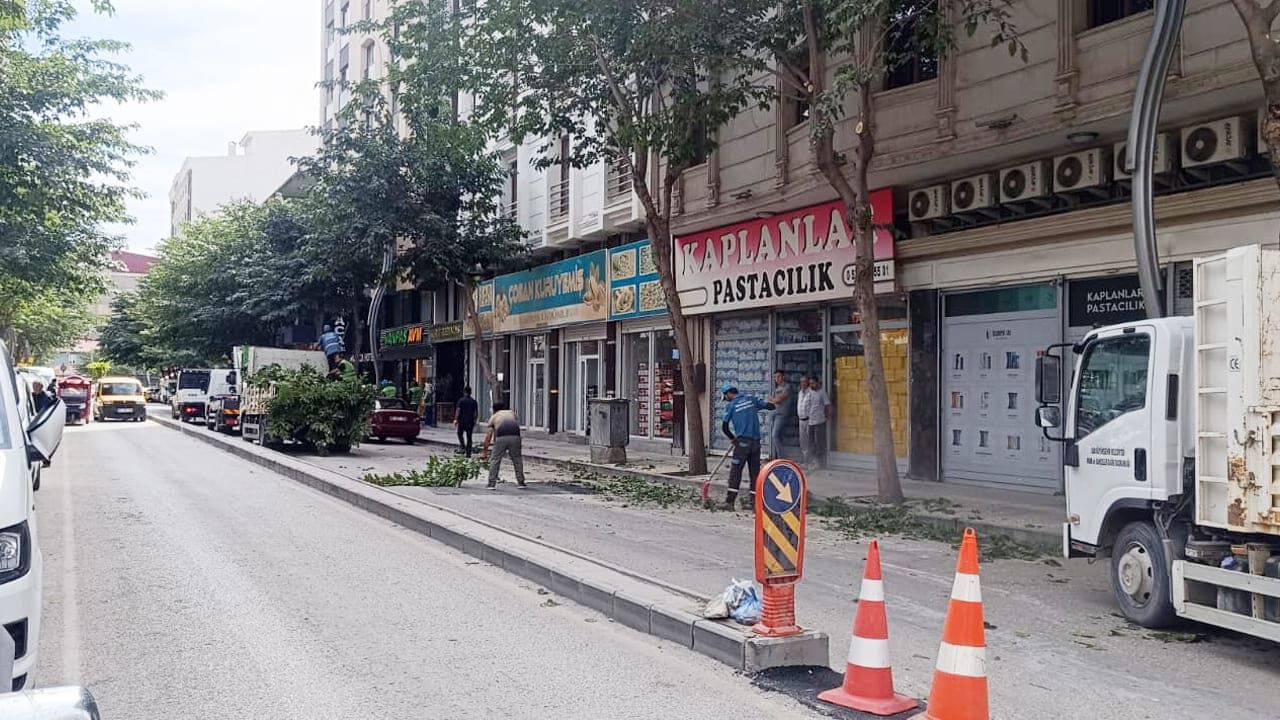 Van Zübeyde Hanım Caddesi’nde ağaçlar budanıyor