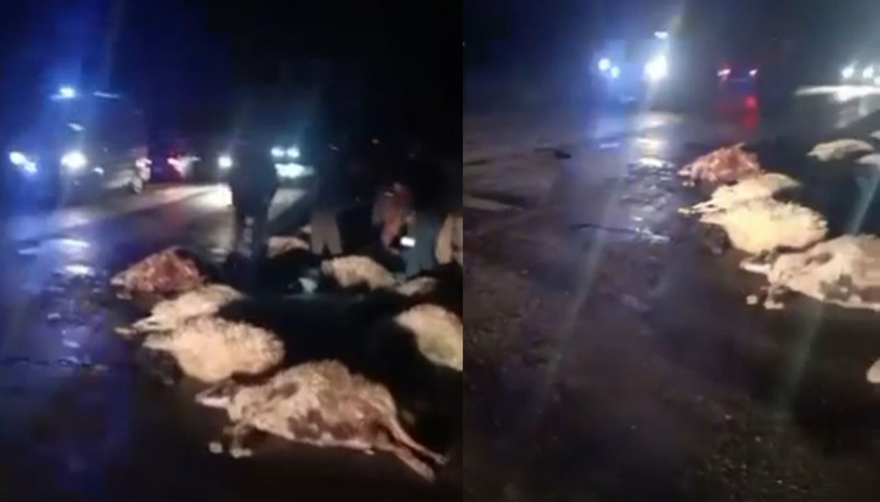 Van'da askeri araç koyun sürüsüne çarptı!