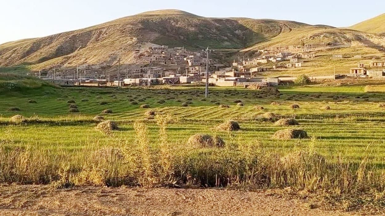 Vanlılardan Yetkililere Çağrı Çilli Sınır Kapısı Artık Açılsın! (7)