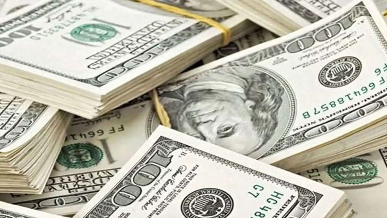 Dolar 49,20 liranın üzerine çıktı