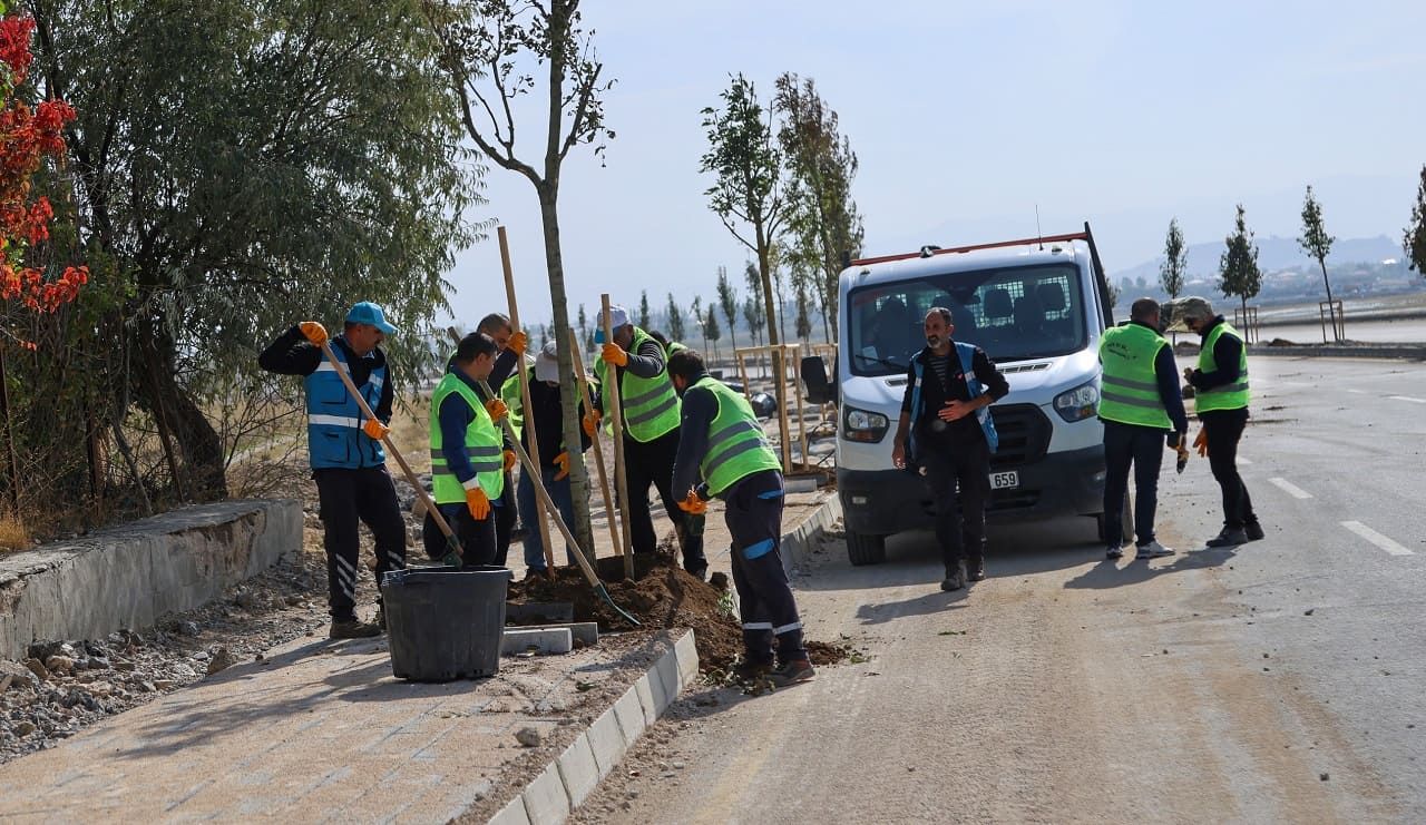 Van Gölü Sahil Yolu’nda Ağaçlandırma Çalışmaları Sürüyor (1)