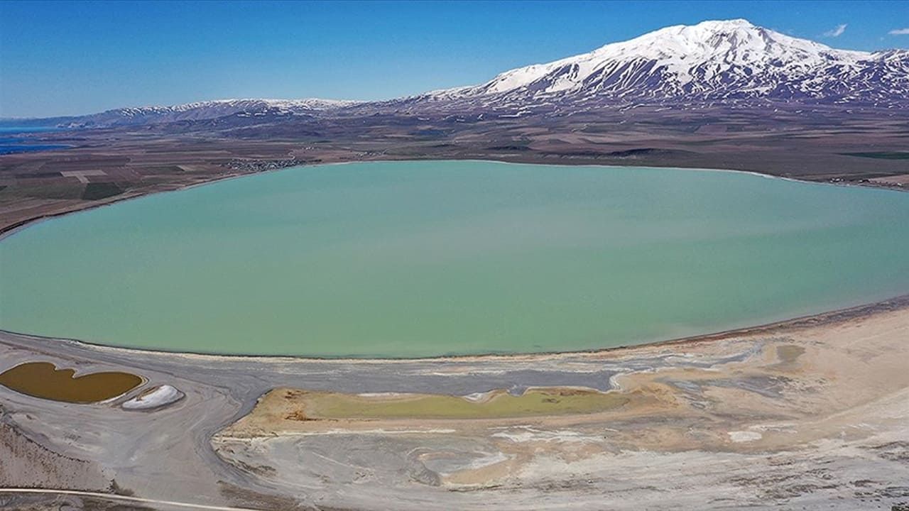 Vanlı doğaseverler Arin Gölü için buluşuyor